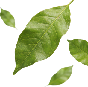 Sustainability