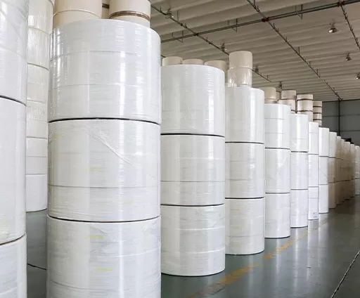 Toilet Tissue Paper